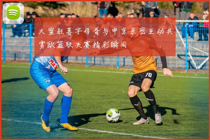 火蜜狂喜字母哥与申京亲密互动共赏欧篮联决赛精彩瞬间